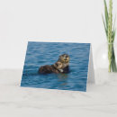 Search for sea otter cards Nature