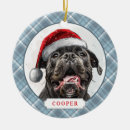 Search for cane corso christmas tree decorations Cute
