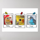 Search for budgie posters Parrot