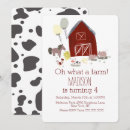 Search for cow birthday First birthday party