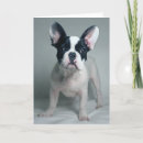 Search for french bulldog puppy cards Purebred dog