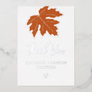 Search for silver maple Autumn