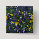 Search for texas blues badges Flower