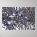 Search for berries art Frozen