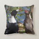Search for magpie cushions Wildlife