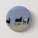 Search for mustang badges Desert