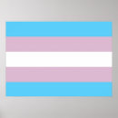 Search for transgender posters Transgender pride flag