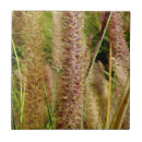 Search for pictures tiles Nature