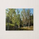 Search for moose puzzles National park