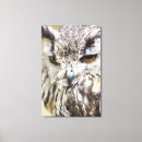 Search for eagle eyes art Bird