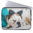 Search for sleepy cat electronics Pets