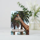 Search for giraffe postcards Nature