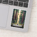 Search for california state parks stickers Redwood trees