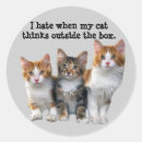 Search for pussy stickers Cats