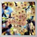 Search for spring pink posters Botanical