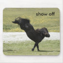 Search for maree mousepads Pony
