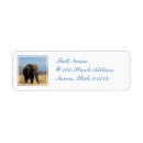 Search for african elephant return address labels Pachyderm