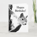 Search for black squirrel cards Funny