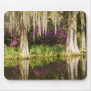 Search for wetlands mousepads Swamp