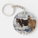 Search for in the paint key rings Standing