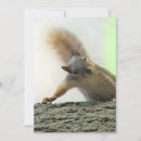 Search for rodent invitations Squirrel