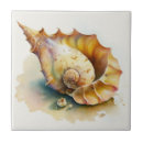 Search for conch shell tiles Sea life
