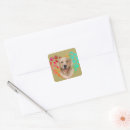 Search for paw heart stickers Puppy