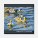 Search for gosling magnets Nature