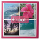Search for seascape tiles Palm trees