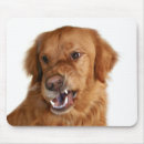 Search for imaging touch electronics Animal