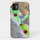 Search for treefrogs Two