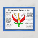 Search for reproductive postcards Science