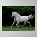 Search for running posters Grey