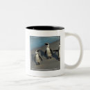 Search for penguin photo mugs Nature