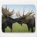 Search for moose mousepads Blue