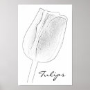 Search for black and white botanical art Tulip
