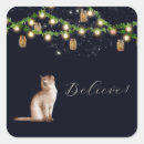 Search for summer night stickers Fireflies