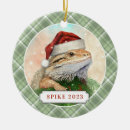 Search for santa dragon christmas tree decorations Reptile