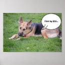 Search for german shepherd photo posters Canine