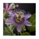 Search for passion tiles Flower