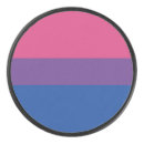 Search for gay hockey pucks Flag