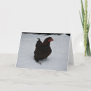 Search for pose cards invites Chicken