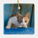 Search for tortoiseshell cat christmas tree decorations Cute