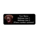 Search for brown white dog return address labels Black