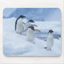 Search for arctic bird electronics Cute