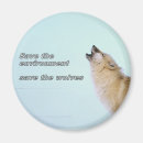 Search for wolves magnets Nature
