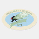 Search for brood Entomology