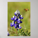 Search for bee stuff posters Green