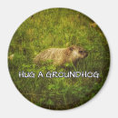 Search for hugs magnets Humour