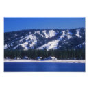 Search for big bear art Snow